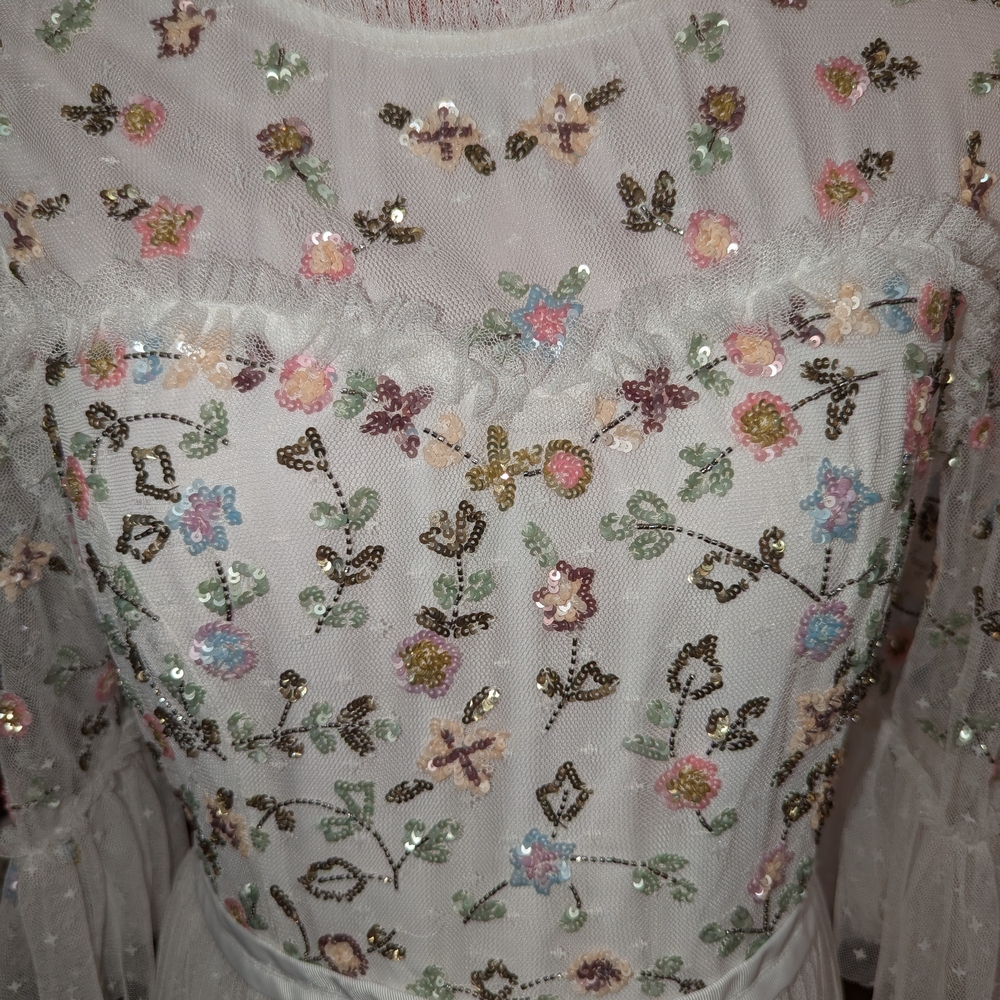 Floral Embroidered Sheer Dress - Picture 8 of 8